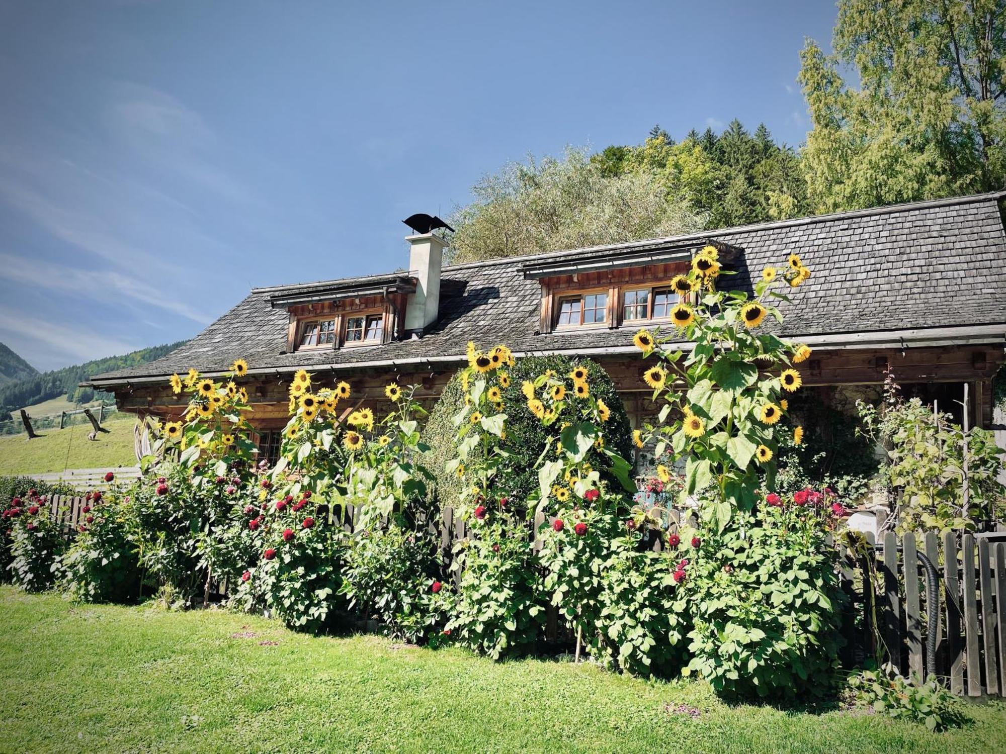 Rafting Camp Palfau Hostal Exterior foto